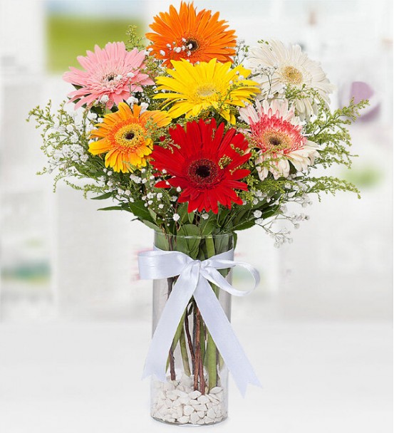 Vazoda Gerbera 2